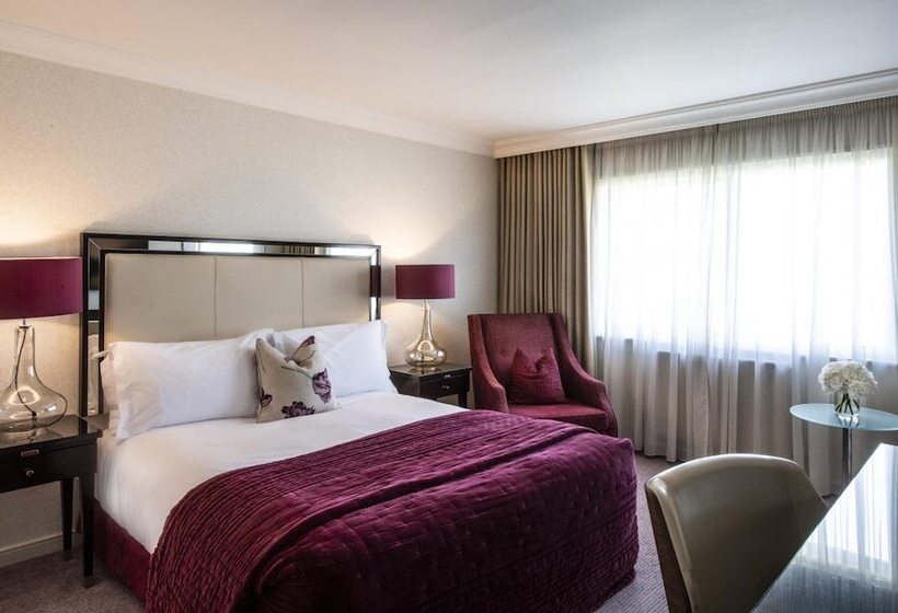 디럭스 룸, The Bristol