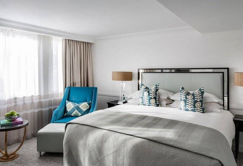 디럭스 룸, The Bristol