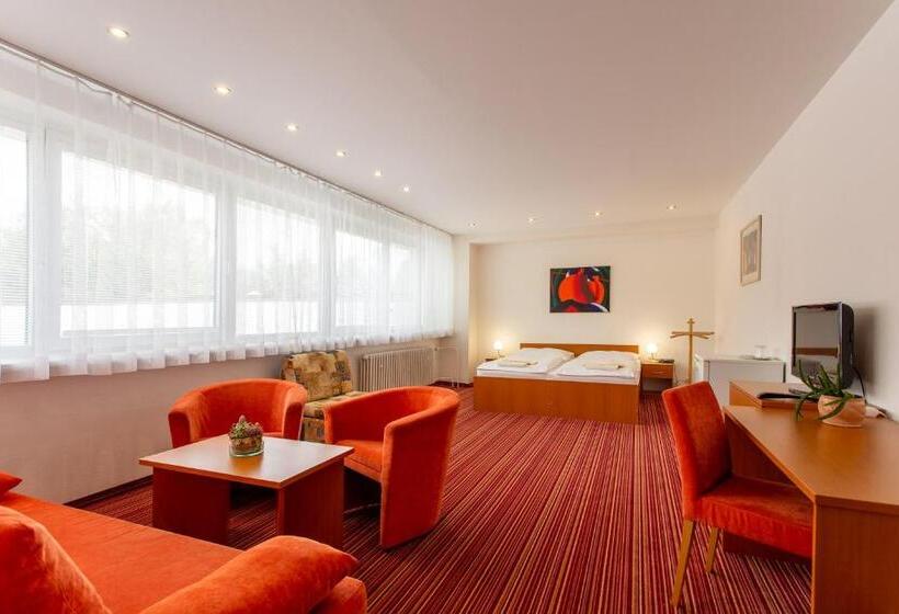 غرفة ديلوكس, Academia