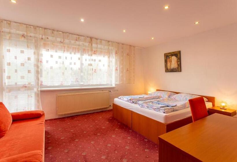 شقة غرفة واحدة, Academia