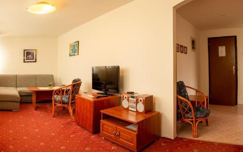 شقة غرفة واحدة, Academia