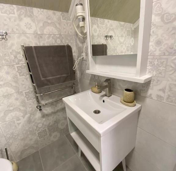 דירת שני חדרים, Zatyshok Nad Prutom