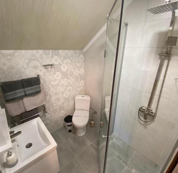 דירת שני חדרים, Zatyshok Nad Prutom