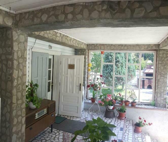 标准单人间, Voro Mold