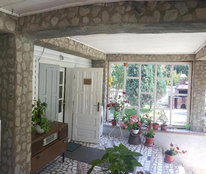 标准间, Voro Mold