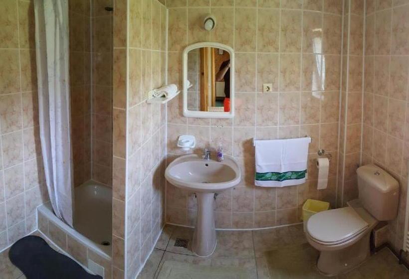 标准间, Voro Mold