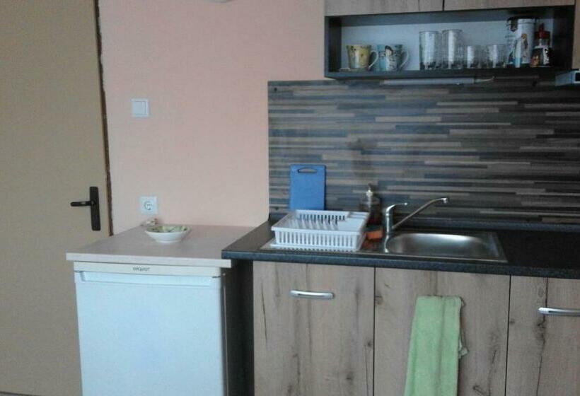 آپارتمان 1 خوابه با چشمانداز دریا, Kraybrezhna 3