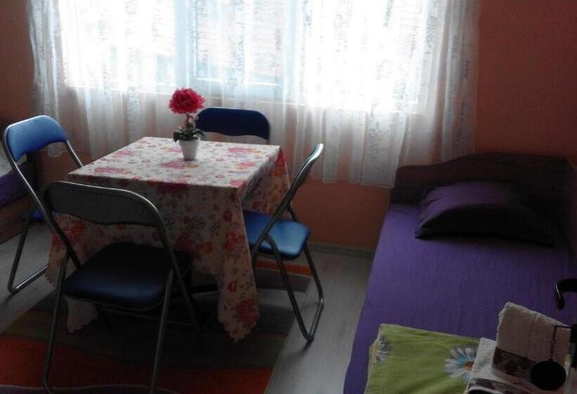 Apartamento 1 Dormitório Vista Mar, Kraybrezhna 3