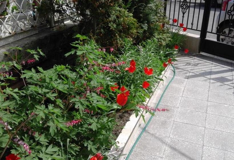 آپارتمان 1 خوابه با چشمانداز دریا, Kraybrezhna 3