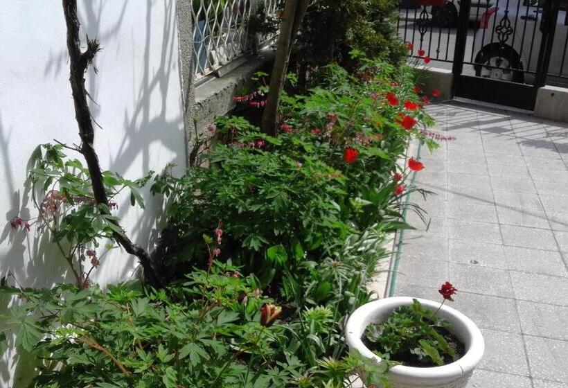 Apartamento 1 Dormitório Vista Mar, Kraybrezhna 3