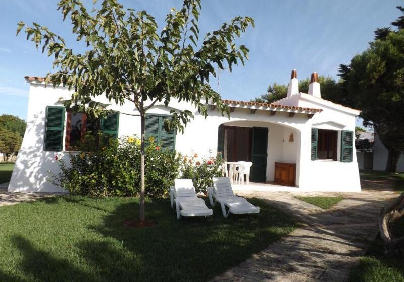 ２ベッドルームアパートメント, Nure Cel Blau