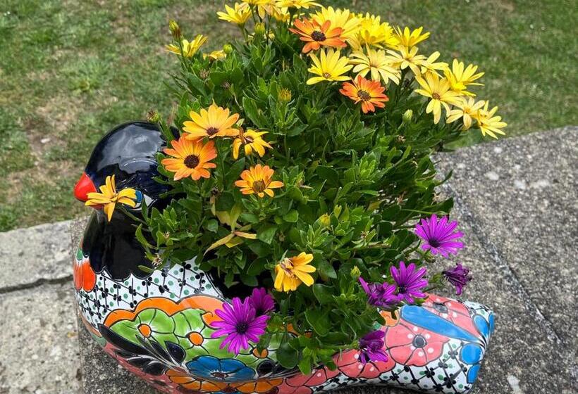 家庭间, Les Bruyeres Chambres Dhotes Et Gite