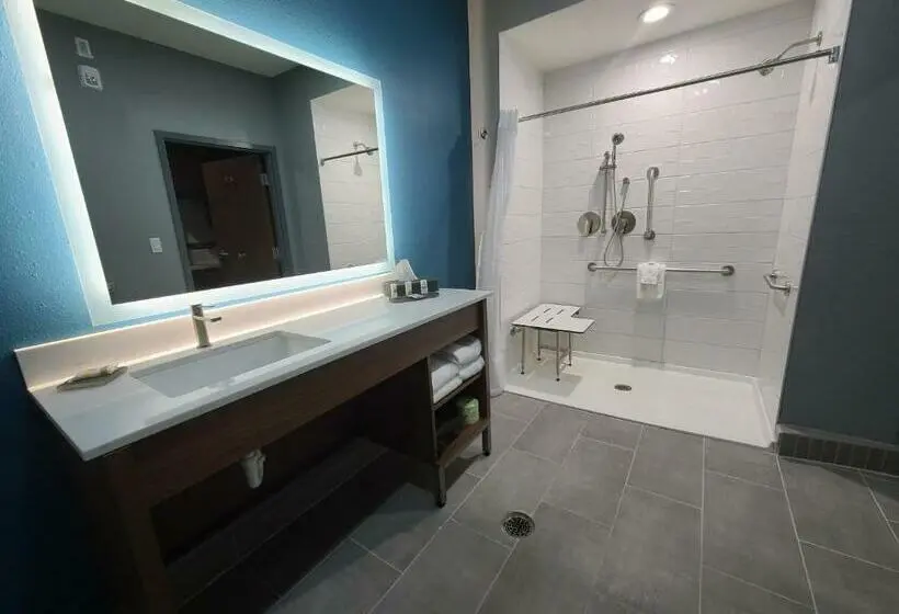 身障者適用キングサイズベッドルーム, La Quinta Inn & Suites By Wyndham Fort Stockton Northeast