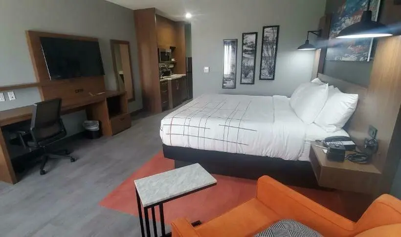 身障者適用キングサイズベッドルーム, La Quinta Inn & Suites By Wyndham Fort Stockton Northeast