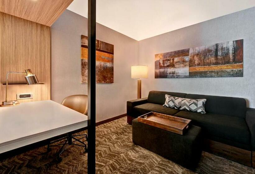 جناح سرير كينج, Springhill Suites By Marriott Albuquerque University Area