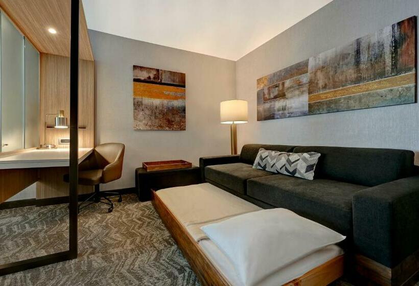 جناح, Springhill Suites By Marriott Albuquerque University Area