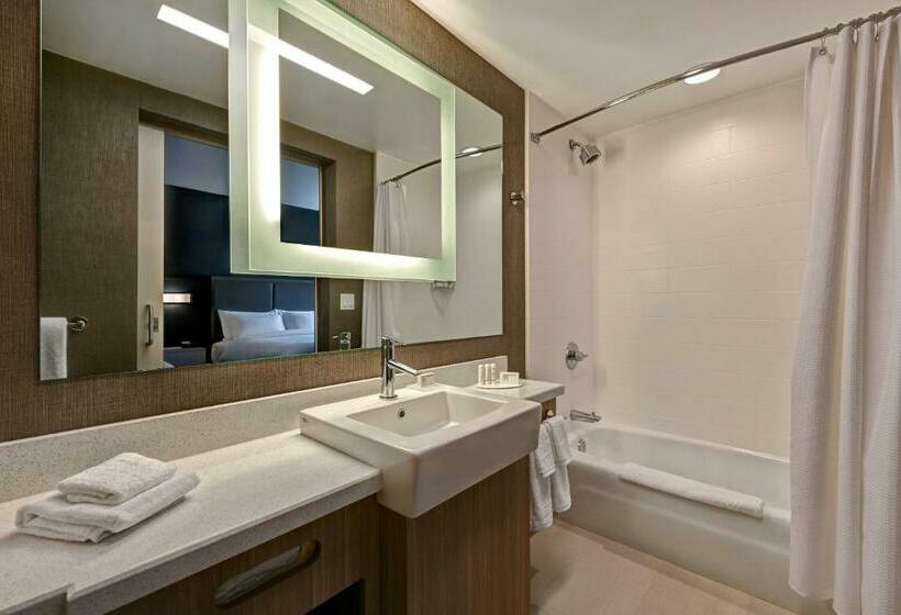 جناح سرير كينج, Springhill Suites By Marriott Albuquerque University Area