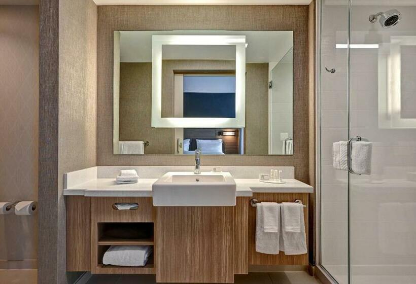 جناح سرير كينج, Springhill Suites By Marriott Albuquerque University Area