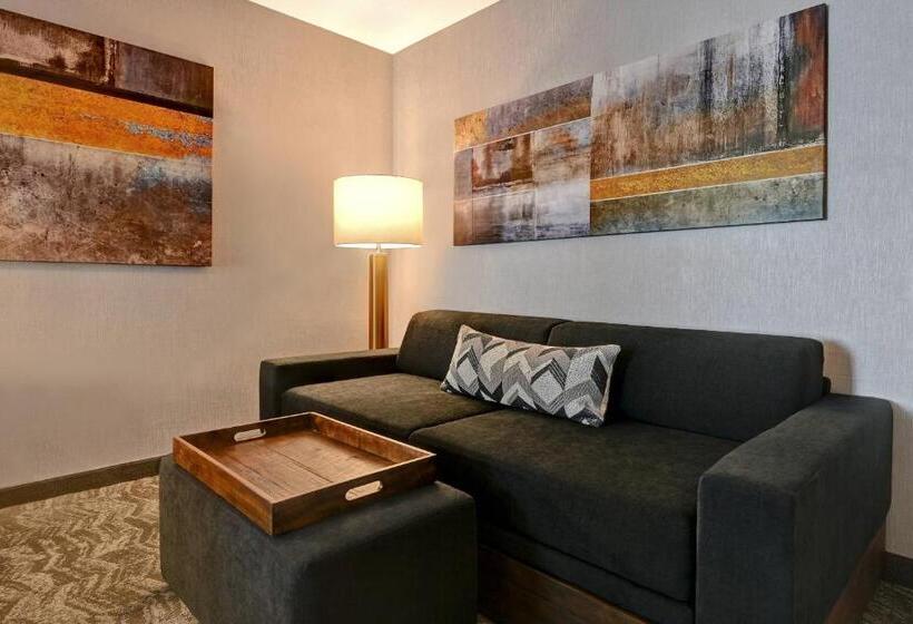 جناح سرير كينج, Springhill Suites By Marriott Albuquerque University Area