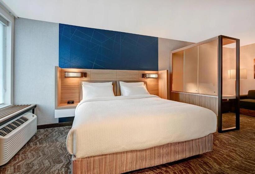 جناح سرير كينج, Springhill Suites By Marriott Albuquerque University Area