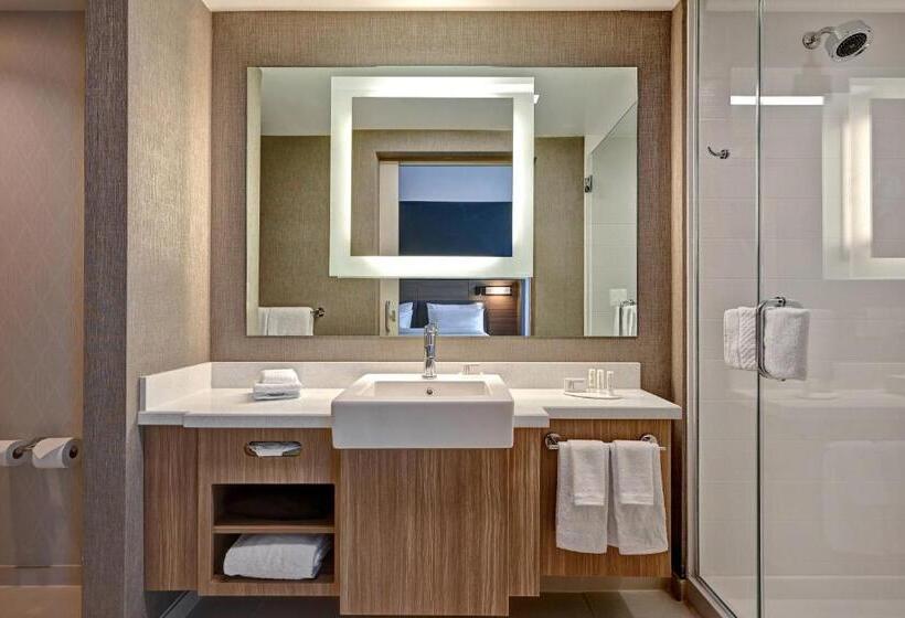 جناح, Springhill Suites By Marriott Albuquerque University Area