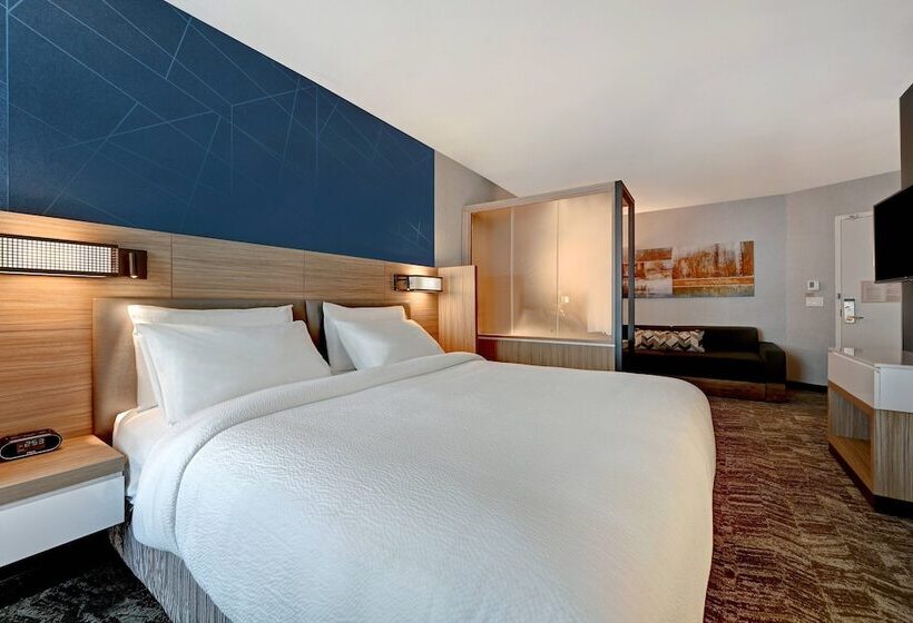 جناح, Springhill Suites By Marriott Albuquerque University Area