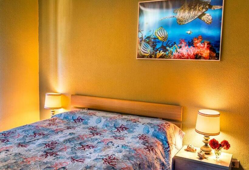 スタンダード4人部屋, Camerealmare