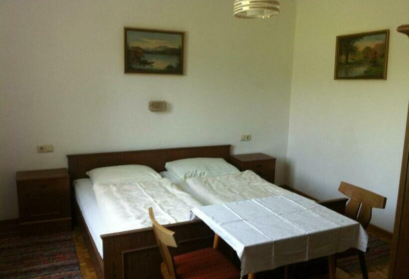 غرفة قياسية, Gasthof Pension Steinberger