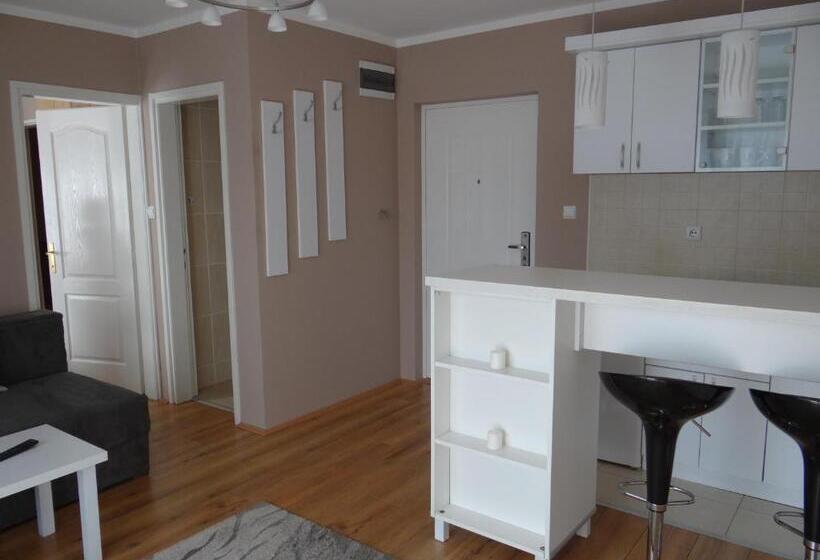 آپارتمان 1 خوابه با بالکن, Hostel S