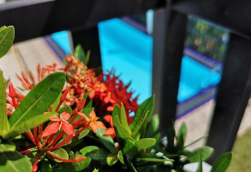 Standard Quadruple Room with Balcony, De Paris à Kandy