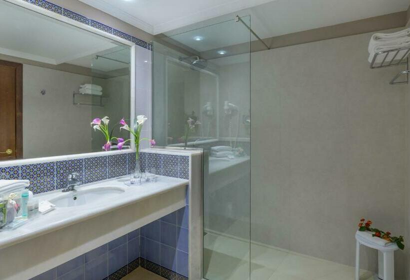 エコノミールーム, Hipotels Natura Palace - Adults Only