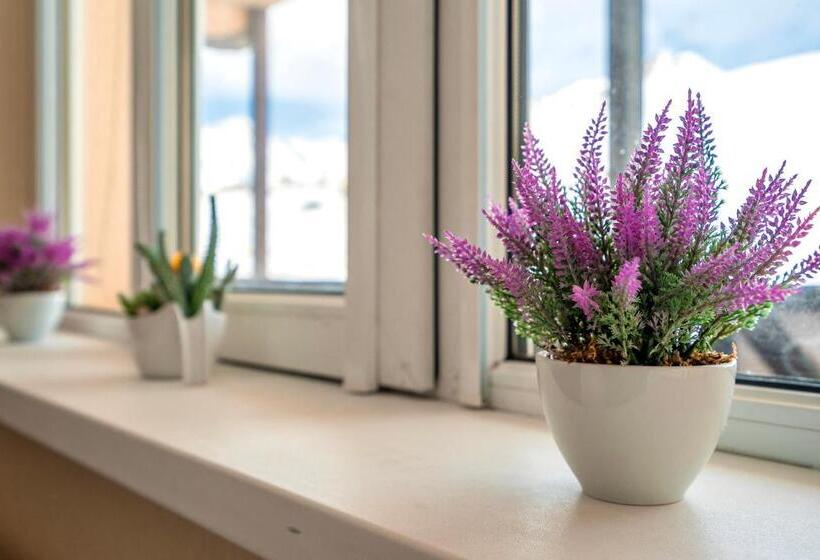 آپارتمان 1 خوابه با بالکن, 2 Room Apartment Nft Gudauri Penta 503