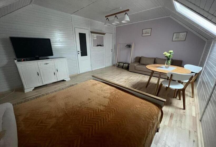 اتاق لوکس چهار تخته, гостеріяold Town