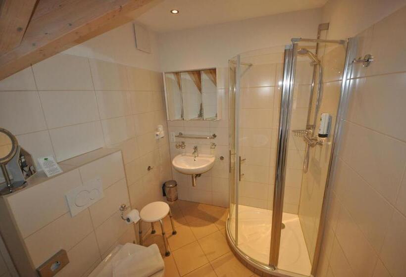 Camera Standard Mansardata, Avalon Hotel Bellevue