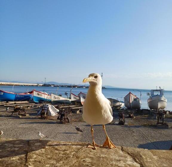 آپارتمان 2 خوابه, стаи за гости анхиало