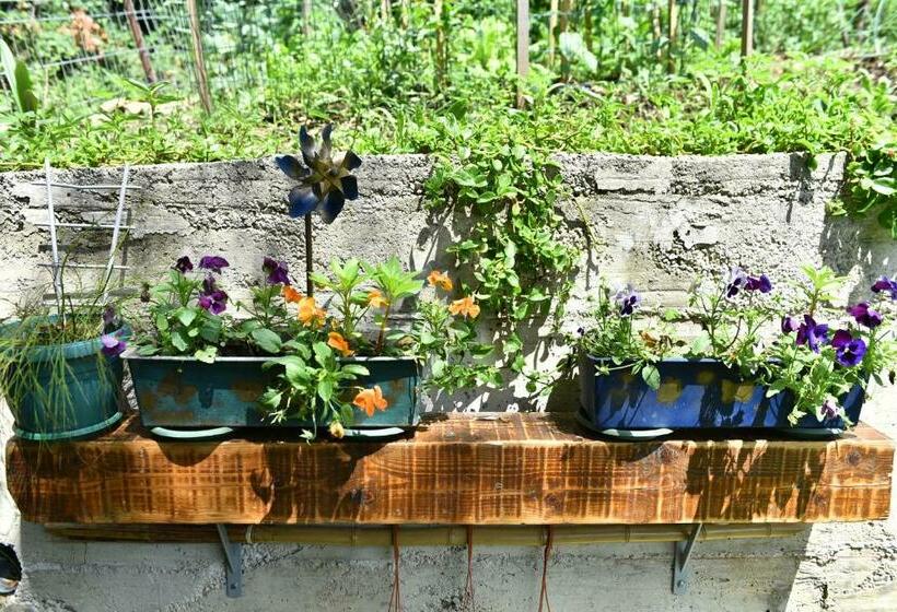 سوئیت با تخت بزرگ, Apartment Sea&sky