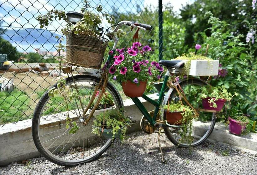 سوئیت با تخت بزرگ, Apartment Sea&sky