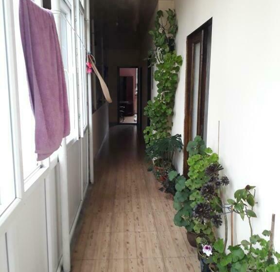 اتاق لوکس, Guest House Nino