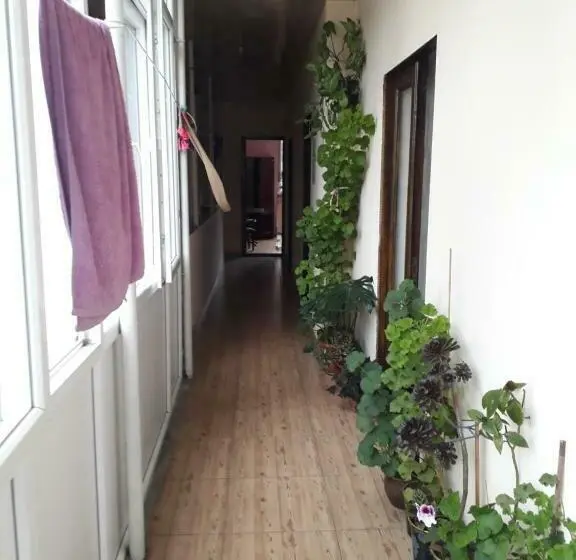 اتاق لوکس, Guest House Nino