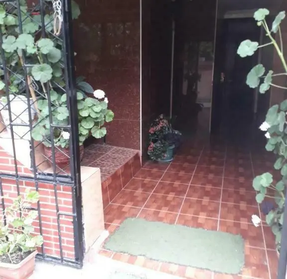 اتاق لوکس, Guest House Nino