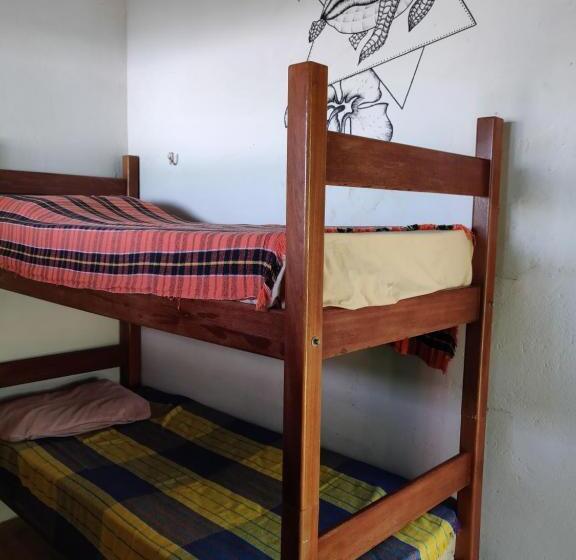 Четырехместный Номер Стандарт Вид на Море, Hostel Casa De Jack