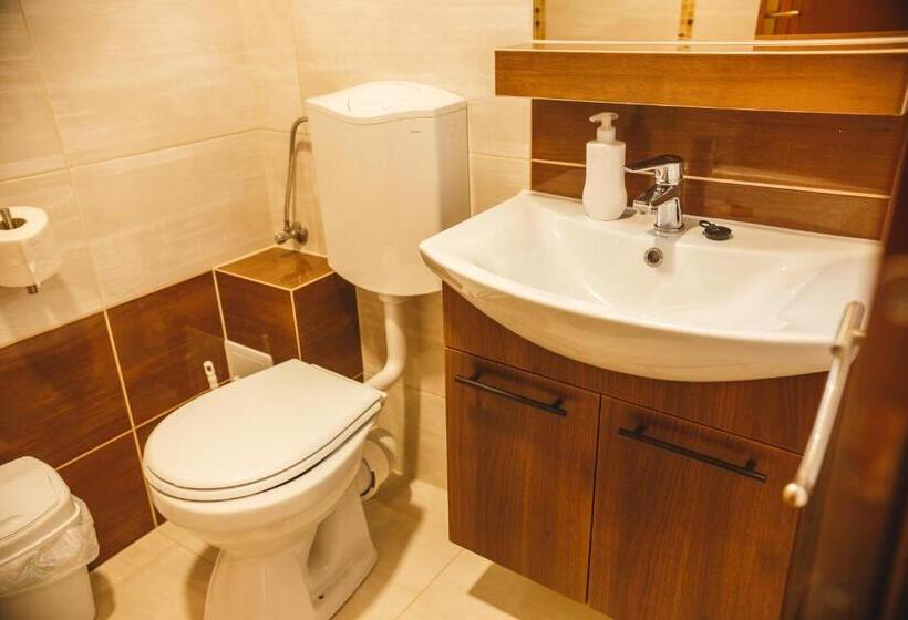 デラックスルーム, Pensiunea Andres