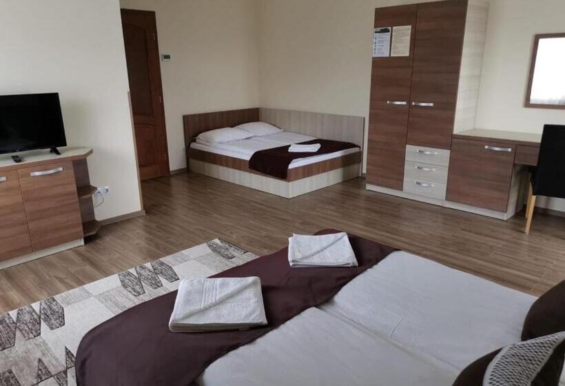 デラックスルーム, Pensiunea Andres