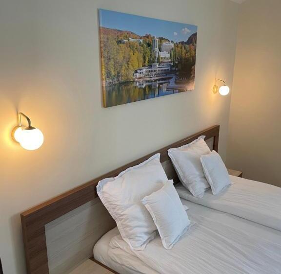 デラックスルーム, Pensiunea Andres