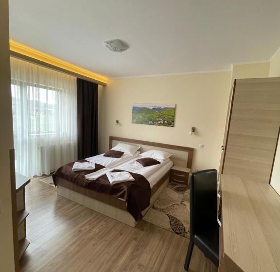 スタンダードルーム, Pensiunea Andres