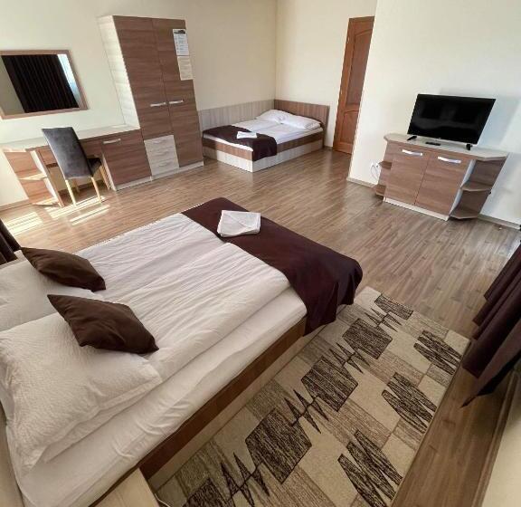 ビラホテル1ベッドルーム, Pensiunea Andres