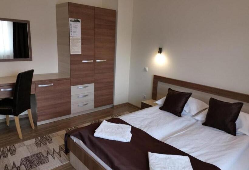 ビラホテル1ベッドルーム, Pensiunea Andres