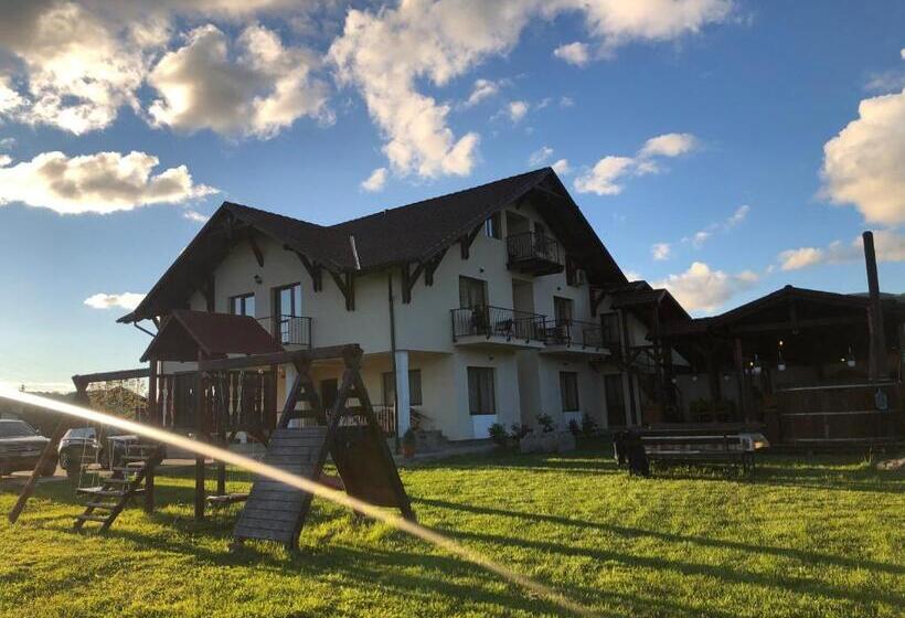 ビラホテル1ベッドルーム, Pensiunea Andres