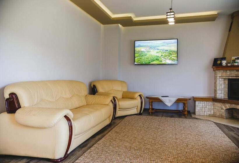 ビラホテル1ベッドルーム, Pensiunea Andres