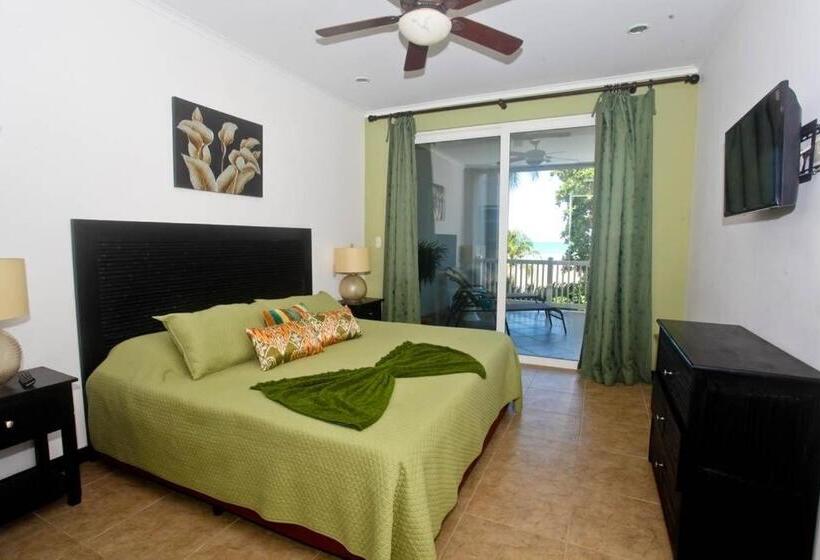 شقة سوبيريور غرفتين, The Palms Ocean Club Resort